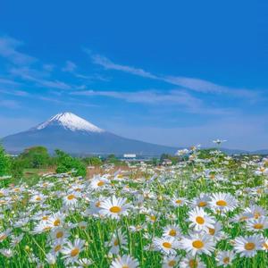 免费看片软件下载污污污
