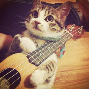 免费看片软件下载污污污
